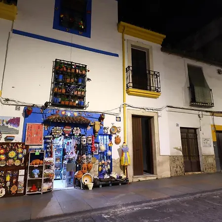 La Terraza De Alfaros & Parking Gratuito * コルドバ